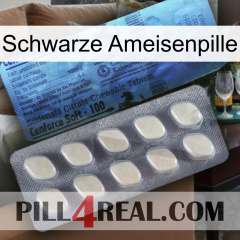 Black Ant Pill 34